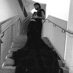 ✮✫ king b00gie ✫✮