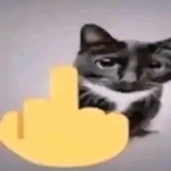 SillyCitter69