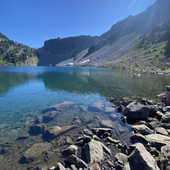 ywoodicare bleeplord prollytris