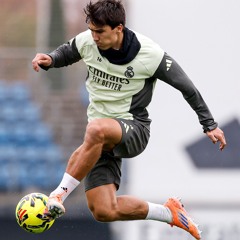 محسن علوي الشهاب