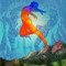 Boulder Ecstatic Dance