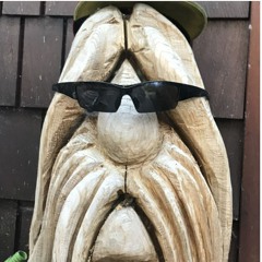 SubnormalSwine