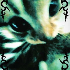 shywrld