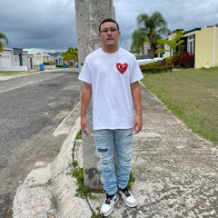 Luis F. Echevarría Vázquez