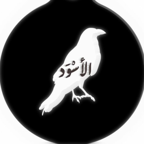 the_Black | الأسْوَد’s avatar