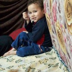 البوب البوب