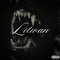 @litwanvision