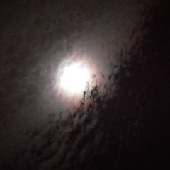 ~Moonlight~
