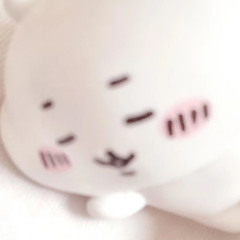 kittypoba ​᭄