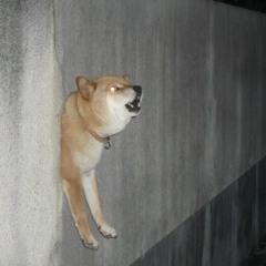 dogdotpng