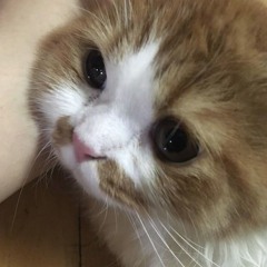 nguynnn