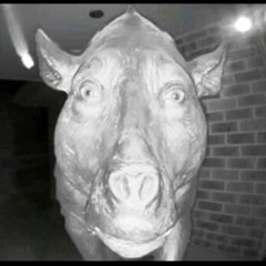 БОБІК НАХУЙ