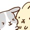 림
