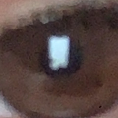 Luiz Felipe Recchimuzzi