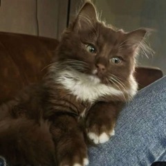 𝐒𝐭𝟒𝐚𝐫._𝐬𝐮𝐳𝐚𝐧