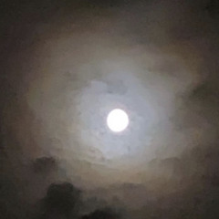 2tonemikeyyy💕🧛🏾‍♂️🦇©++