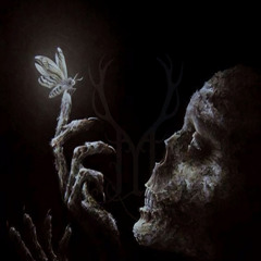 ll_DARKSTAR_ll