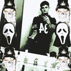 333zany