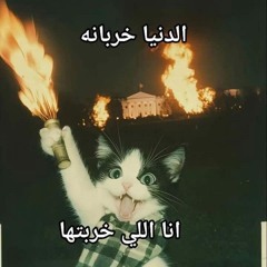Esraa Mohamed