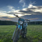 CRF