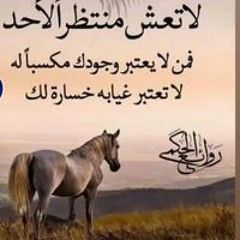 ملكه الجنوب