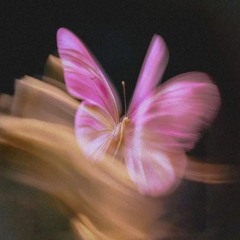 𝐌 𝐚 𝐧 𝐚 𝐡 𝐢 𝐥