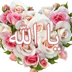 nessmaahmad20@gmail.com