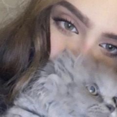 fofa