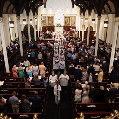 "Jesu, Joy Of Mans Desiring" (Johann Sebastian Bach)