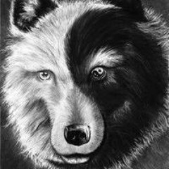 Vulg