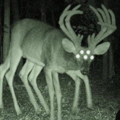 _p0lt3rgeist_