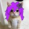 hikkikomori (the sewerc4t💜)