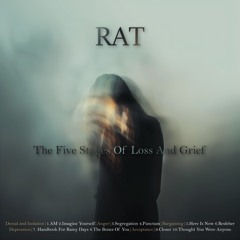 Rat.