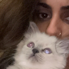 س