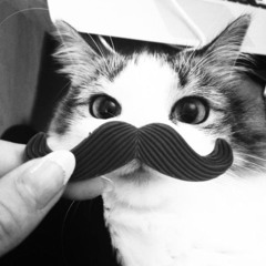 𓆝 𓆟 𓆞 𓆝 𓆟