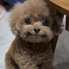 rxmiirezz