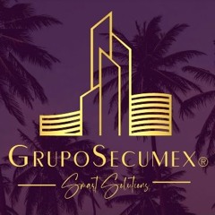 Grupo Secumex Smart Solutions