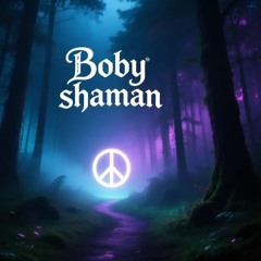 shaman instrumental 5