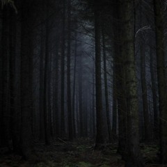 The Dark Wood