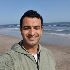 د/محمود الصباغ