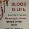 BloodGalore