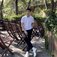 𝙑𝙄𝙉𝙃 𝙏𝙀 ✪