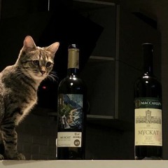 New & hot: Deep House