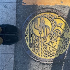 Not This One Yes This One