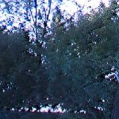 ༼꧅꧁ӄԞᶓ𝖗ȵꬴŀƤⲁɲϊƈ‡᳄〲சூழ்நிலை㍐𓀀 𓀁 𓀂 𓀃 𓀄冷靜𒐷