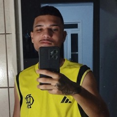 Rodrigues netto