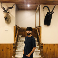 Mujtaba