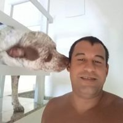 Rodrigo Ferreira Ferreira’s avatar