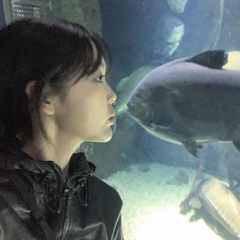캔디님