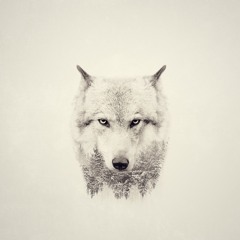 Yt5s.com - Face In The Dark (ft. Panther)(720p)